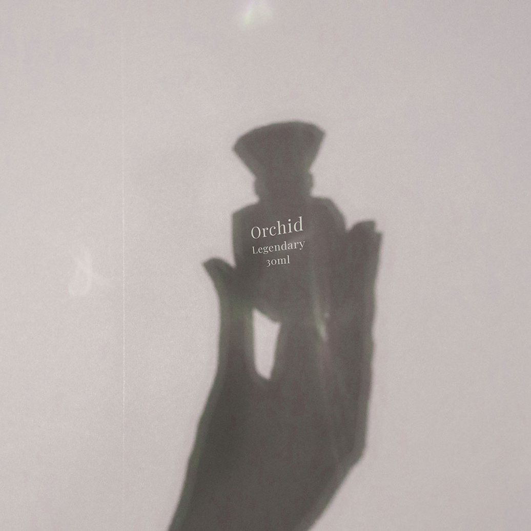 Perfume Longevity Secrets Every Fragrance Lover Should Know