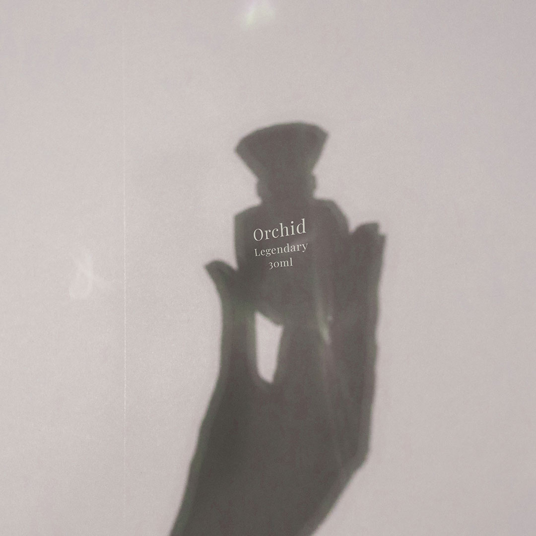 Perfume Longevity Secrets Every Fragrance Lover Should Know