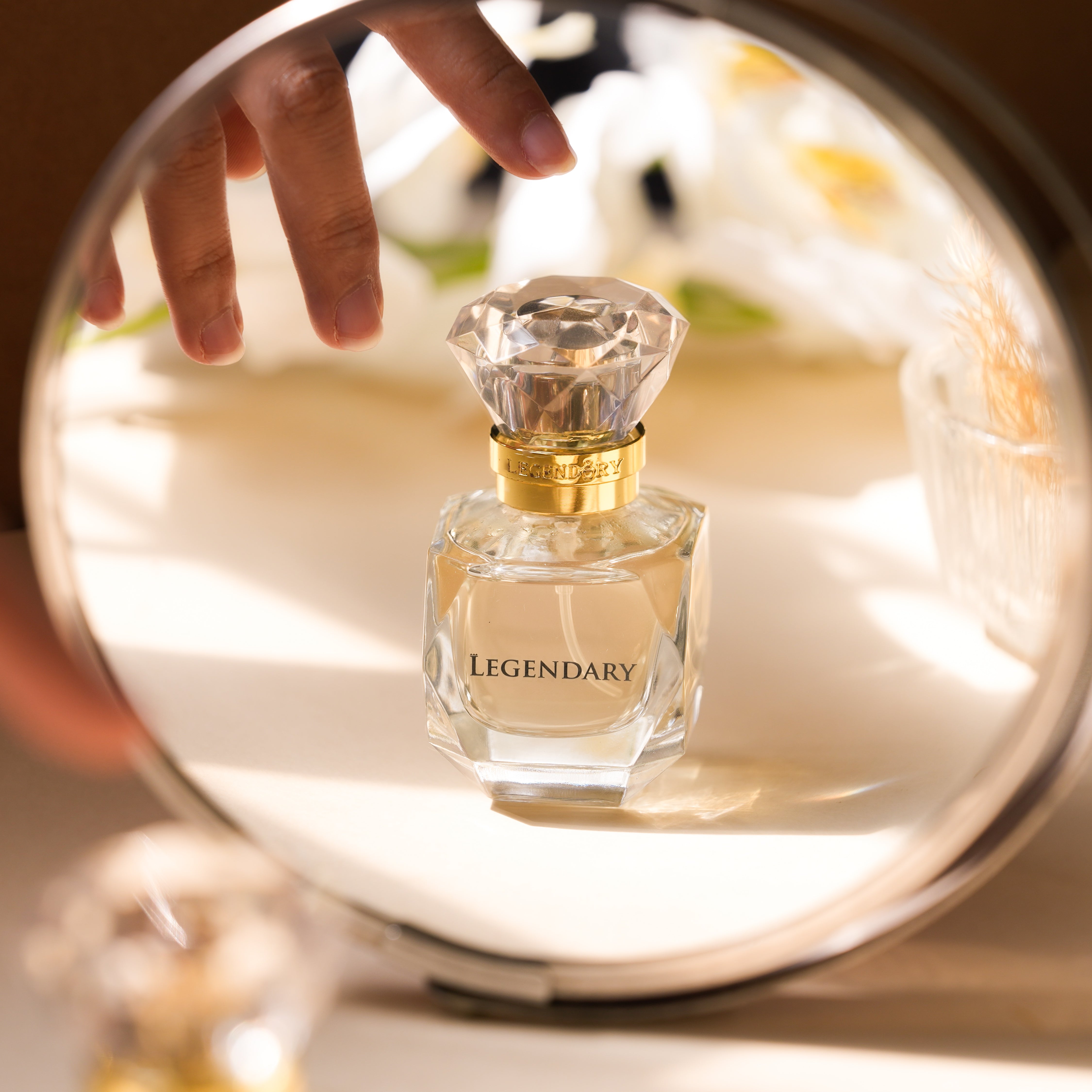 12_1.jpg?v=1766733897&width=1200