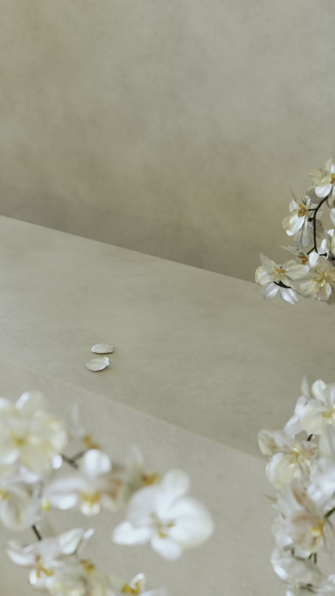 兰花 香水. Legendary Perfume. Legendary Orchid. Perfume Collection. Malaysia